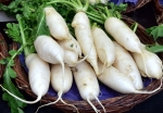 lunar white carrot seeds