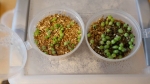 mix succulent plant cactus seeds