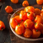 orange habanero hot pepper seeds