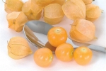 peruvian cherry seeds