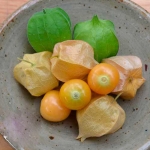 peruvian cherry seeds