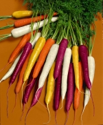 rainbow mix carrot seeds