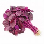 red edible amaranth chinese spinach seeds