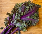red russian kale seeds