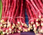 red yard long bean seeds