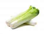 rocket chinese cabbage seeds