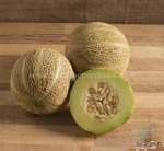 rocky ford melon seeds