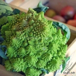 romanesco broccoli seeds