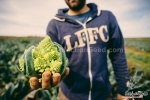 romanesco broccoli seeds