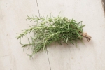 rosemary seeds