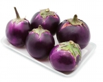 round japanese eggplant seeds