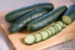 saladmore f1 cucumber seeds