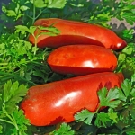 san mazano tomato seeds