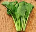 sawi green cantonese choy sum cabbage seeds