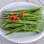scarlet bean seeds