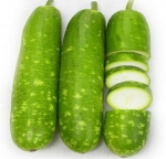 short mottled green gourd seeds