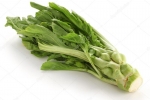 sichuan tsa tsai mustard seeds