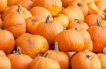 spookie pumpkin seeds