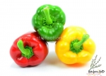 sweet pepper mix seeds