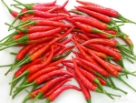 thailand bird eye hot pepper seeds