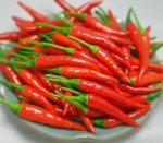 thailand bird eye hot pepper seeds