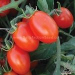 tropruby f1 tomato seeds