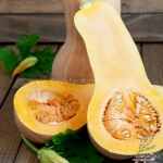 waltham butternut squash seeds