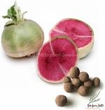 watermelon radish seeds