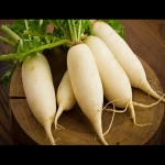 white seoul daikon radish seeds