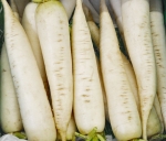 white seoul daikon radish seeds