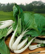 white stem pak choi seeds